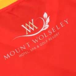 Carlow GAA Baby Home Jersey 2022 -Outdoor Clothing Store carlow home reg fit jersey 22 6 1