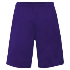Men's LA Lakers Jump Ball Short Purple -Outdoor Clothing Store k2m1fdkb 000 laklj lebron james lakers a1