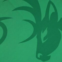 Kerry Camogie Home Jersey 2022 -Outdoor Clothing Store kerry home jersey 2022 9 4 3