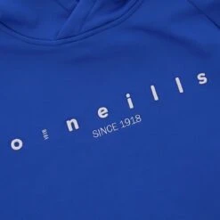 Men's Nathan Technical Fleece Overhead Hoodie Royal / Silver -Outdoor Clothing Store nath 012 o gen rosvxx adlt p6