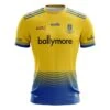 Roscommon LGFA Kids' Home Jersey 2 Roscommon LGFA Kids' Home Jersey -Outdoor Clothing Store rosco lgfa 3d home jersey front 1 2